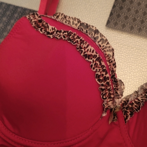 Red and Leopard Lingerie Set NWOT Size 34C - Picture 2 of 4